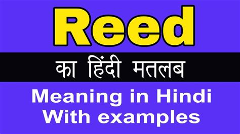 meaning of reed in hindi|reed ka hindi translation.